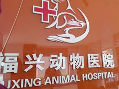 -瑞派福兴宠物医院犬猫全科·骨科·中西医结合(河东店)