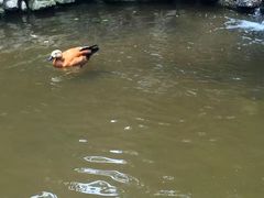 -燕塞湖鸟语林景区