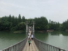 -东湖落雁景区