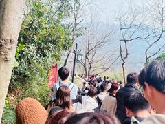 -灵顺寺