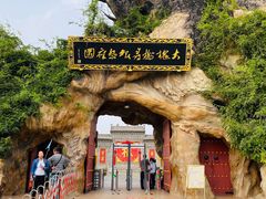 -大槐树寻根祭祖园