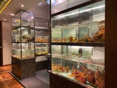 -甄御•海鲜新青岛菜(麦岛店)