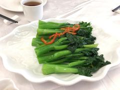 -新君悦国际酒店
