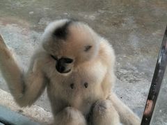 -辛玛王国游乐园