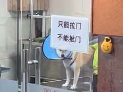-转角宠物(转塘方家苑店)
