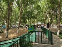 -长白岛森林公园