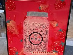 -野萃山·潮汕厚果汁(十亩地店)