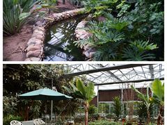 -陆地游轮吉林神农温泉