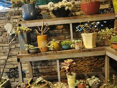 -凤来栖·净庭院·火锅(欧尚店)