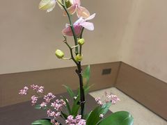 -御同亨酒楼·喜宴