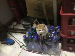 -老丘丘(较场口店)