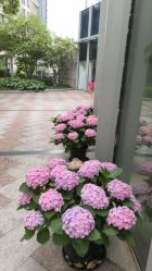 -娇玫荟SPA