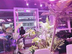 -粉墨特色菜·烧烤音乐酒馆