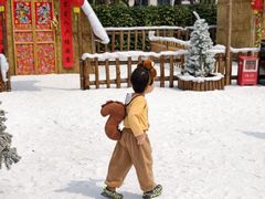 -佛冈森波拉度假区