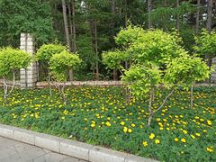 -长春市南湖公园