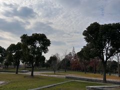 -尚贤河湿地
