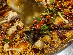 -胖子鱼·天水麻辣鱼火锅(秦州407店)
