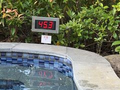 -林丰温泉度假山庄