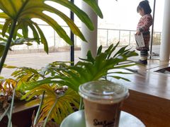 -Seesaw Coffee(朝阳大悦城店)