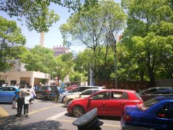 -上海交通大学医学院附属上海儿童医学中心(陆家嘴总院区)