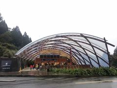 -怀托摩萤火虫洞