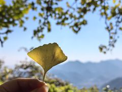 -大慈岩风景区