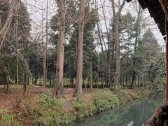 景观位-青城甲(青城山店)