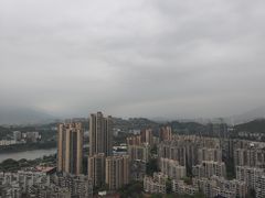 -福道