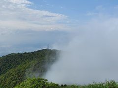 -梧桐山风景名胜区