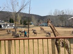 -大连森林动物园