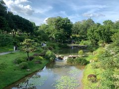 -东莞植物园