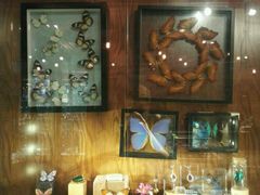 -Behring World of Animals(上海自然博物馆店)