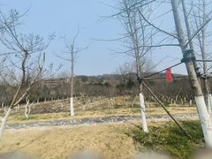 -黄陂区野村谷景区