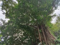 -乌山风景区