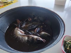 -小赖鱼馆