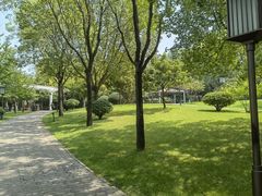 -唐城墙遗址公园