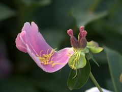 -长春公园(普阳街道)