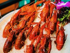 茅台熟醉小龙虾-金龙·打边炉(南京西路店)