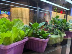 -番食园鲜食火锅(高新店)