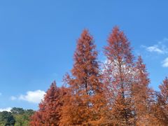 -南京市无想山景区