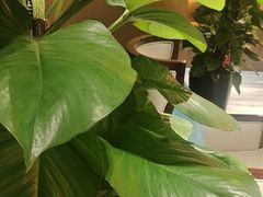 -南城故事柔式幻装Spa·按摩养生馆(世纪城店)