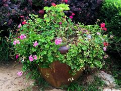 -意大利农场度假村