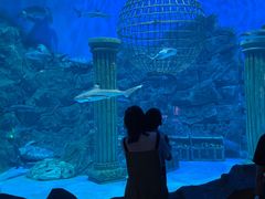 -芜湖新华联大白鲸海洋公园