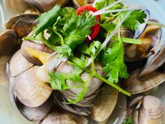 炒蛏子-渔娘渔家丹东海鲜(东直门店)