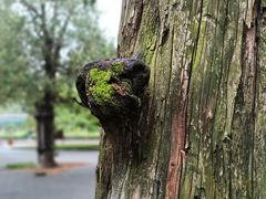 -北京市劳动人民文化宫
