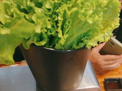 -九田家黑牛烤肉料理(国芳店)