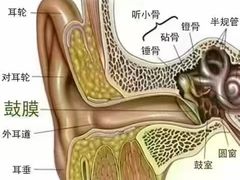 -自然之声助听器(平凉店)