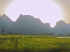 -村上春树