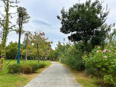 -洪泽湖古堰景区