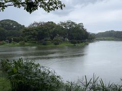 -东莞植物园